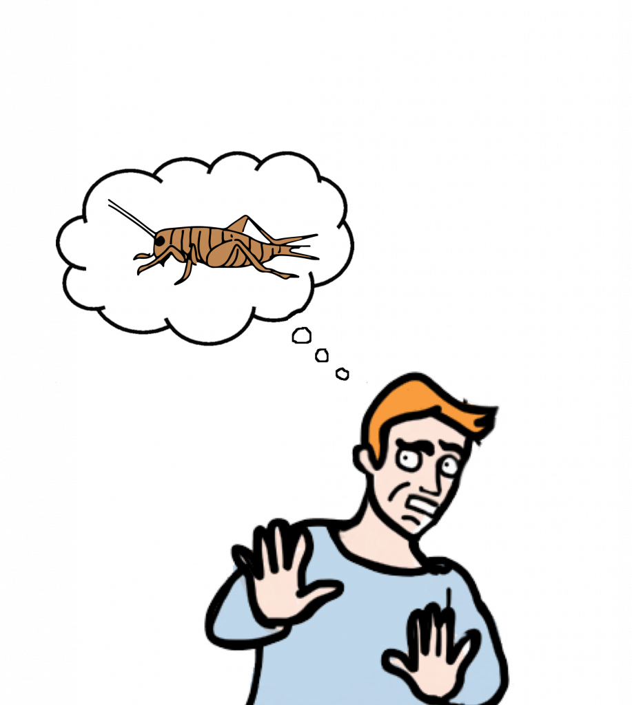 Eating Insects for Protein